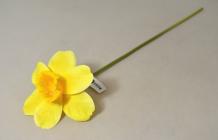 Narcis 40 cm žlutý 