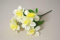 Narcis 7 květů 29 cm bílý 