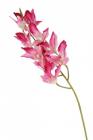 Orchidej 103 cm, růžová 