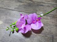 Orchidej 46 cm fialová  