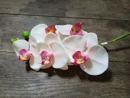 Orchidej 85 cm 