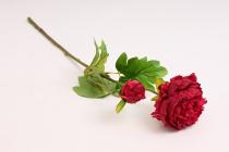 Pivoňka s poupětem 62 cm, cyklamenová 