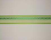 Plátnová stuha s monofilem,vzorem a drátem, 25mm, zelená 