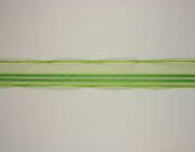 Plátnová stuha s monofilem,vzorem a drátem, 25mm, zelená 