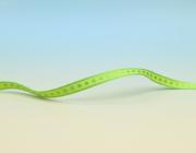 Plátnová stuha se vzorem a drátem, 10 mm, žluto-zelená 