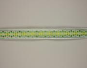 Plátnová stuha se vzorem a drátem, 15mm, 15 mm, zeleno-žlutá 