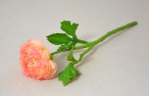 Pryskyřník single 31 cm růžový 