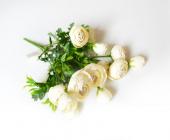 Ranunculus, kytice, 27 cm krémová 