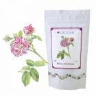 Rosa centifolia čaj 