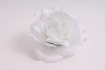 Růže 10 cm krémovo bílá 
