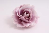 Růže 10 cm světle fialová 