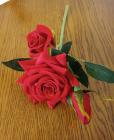Růže 3 květy, 35 cm 
