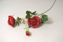Růže 3 květy 44 cm červená  