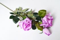 Růže 3 květy, 90 cm  * Fialová