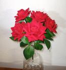 Růže 5 květů, červené 30 cm  