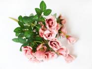 Růže divoká, 40 cm 