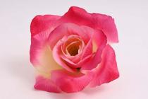 Růže květ 12 cm růžovo-krémová 