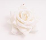 Růže sametová 9 cm, bílo-krémová 