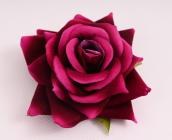Růže sametová 9 cm, cyklamenová 
