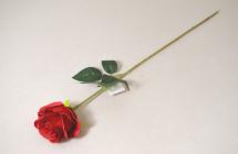 Růže singl 52 cm červená 