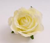 Růže vazbová 9 cm, smetanová 