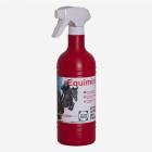 Stassek - EQUIMIN