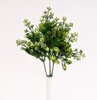 Trs kvetoucí 30 cm, zelený 