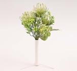 Trs protea 30 cm, bílý 