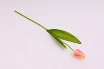 Tulipán 48 cm, bílo-růžová 
