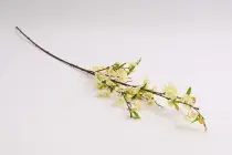 Umělá kvetoucí větev jabloně 115 cm krémová 
