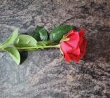  Umělá mini růže 