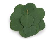 Umělý list eukalyptus, zelená 