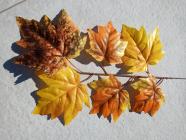 Umělý list podzimí 60 cm 