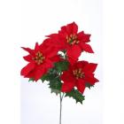 Vánoční hvězda 3 květy, červená 