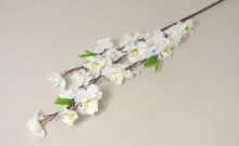 Větev broskev 66 cm bílá 