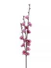 Větev jabloň 52 cm, růžová 