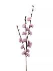Větev jabloň 52 cm, světle růžová 