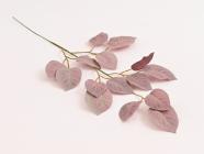 Větev s lístky ruže 50 cm, růžová vintage 