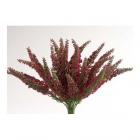 Vřes  barva fuchsiová 