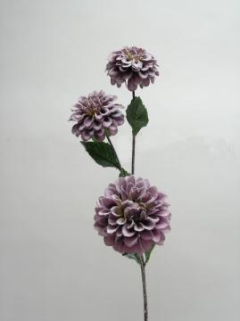 cinie-3-kvety-85-cm--fialova-ojinena_9723_22819.jpg