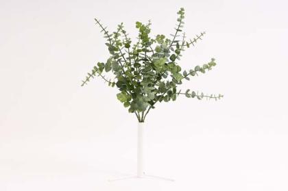 eukalyptus-38-cm_9065_19024.jpg