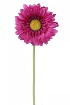 gerbera-57-cm-fialova_10149_25063.jpg