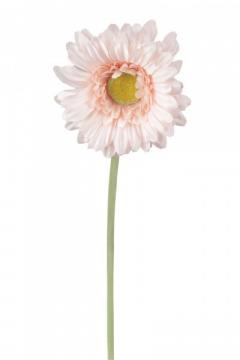 gerbera-57-cm-ruzova_10148_25060.jpg