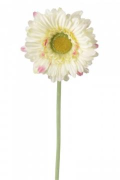 gerbera-57-cm-svetle-zluta_10146_25054.jpg