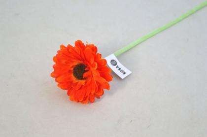 gerbera-mini_8208_15082.jpg