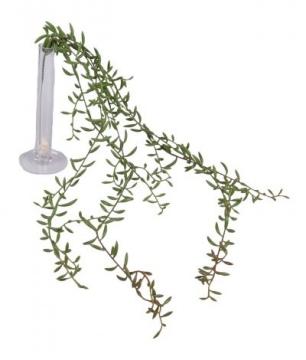 girlanda-listkova-95-cm-zelena_11492_31603.jpg
