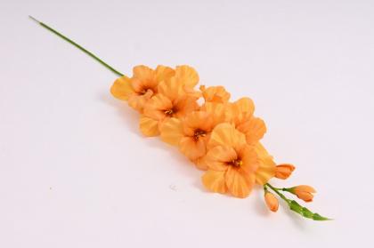 gladiol-76-cm-oranzovy_9557_21640.jpg