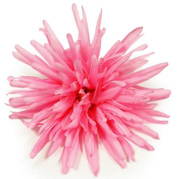 hlava-chryzantema-13-cm-ruzova_11851_33440.jpg
