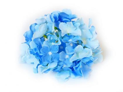 hortenzie-kvet-17-cm-modra_9201_19390.jpg