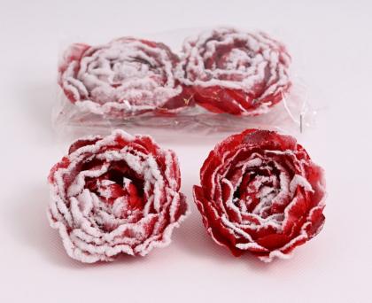 kamelie-zasnezena-6-cm-cervena_11620_32199.jpg